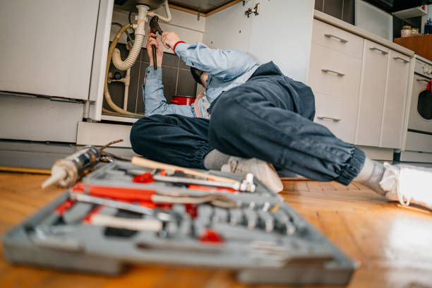 Best Clogged Drain Plumber  in South Rockwood, MI