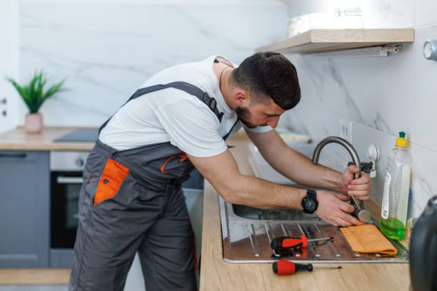 Best Water Softener Installation  in South Rockwood, MI