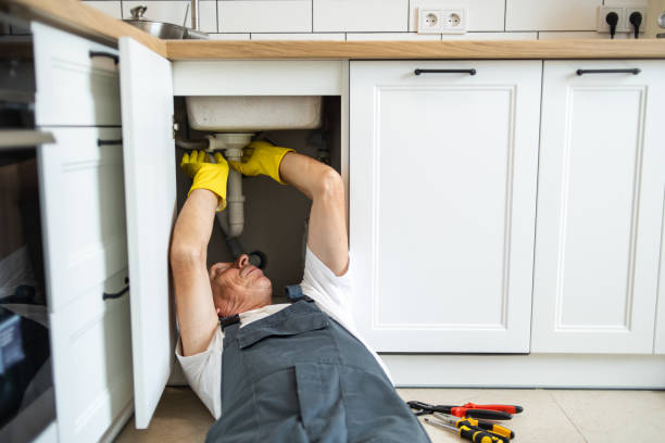 Best Leak Detection Services  in South Rockwood, MI